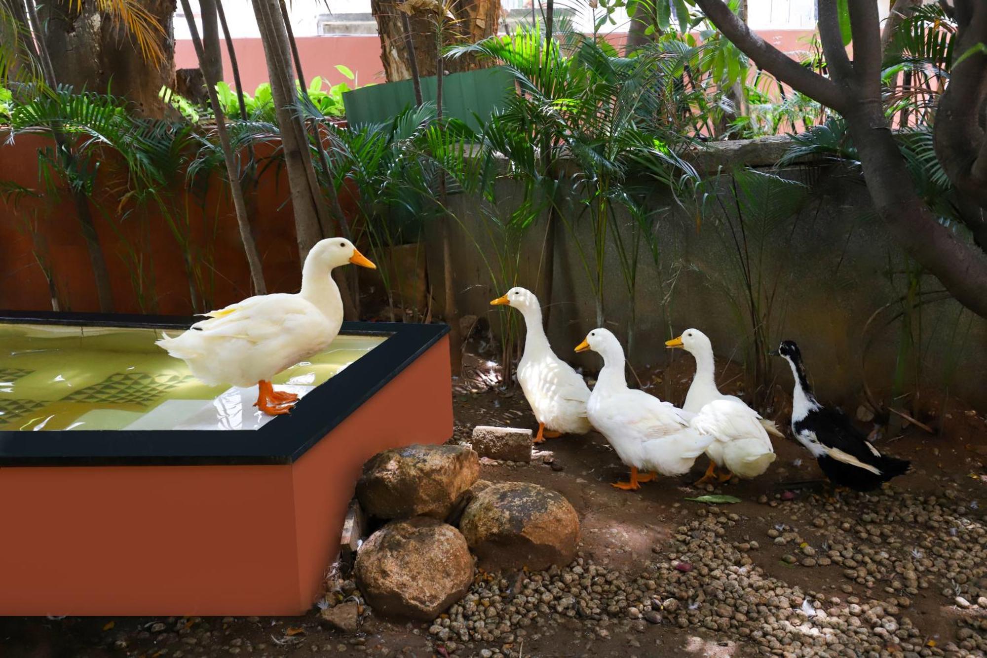 Lemon Tree Suites, Whitefield, Bengaluru 외부 사진